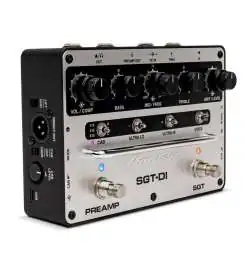 Ampeg SGT-DI