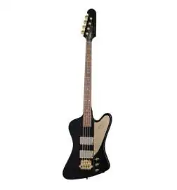 Epiphone Rex Brown Thunderbird Ebony