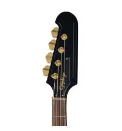 Epiphone Rex Brown Thunderbird Ebony