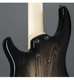 Dingwall Combustion 5 3PU PF 2 Tone Black Burst