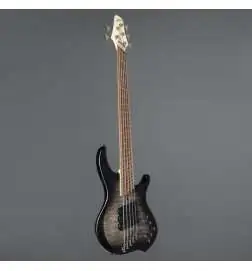 Dingwall Combustion 5 3PU PF 2 Tone Black Burst