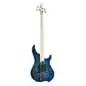 Dingwall Combustion 4 3PU MN Indigo Burst