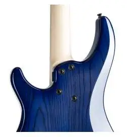 Dingwall Combustion 4 3PU MN Indigo Burst