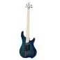 Dingwall Combustion 4 3PU MN Indigo Burst