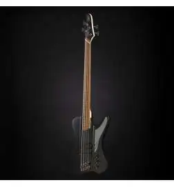 Dingwall D-Roc Standard 4 3PU PF Matte Metallic Black