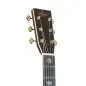 Sigma Guitars DT-41