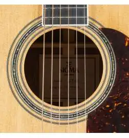Sigma Guitars DT-41