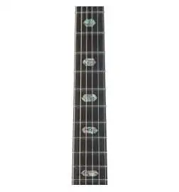 Sigma Guitars DT-41
