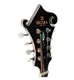 Sigma Guitars MA-6E
