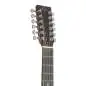Sigma Guitars DM12E