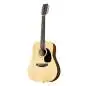 Sigma Guitars DM12E