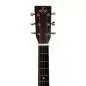 Sigma Guitars DM-1