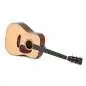 Sigma Guitars DM-1