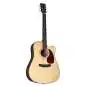 Sigma Guitars DMC-1E
