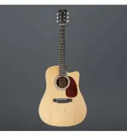 Sigma Guitars DMC-1E