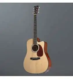 Sigma Guitars DMC-1E