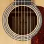 Sigma Guitars DMC-1E