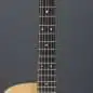 Sigma Guitars DMC-1E
