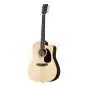 Sigma Guitars DMC-STE