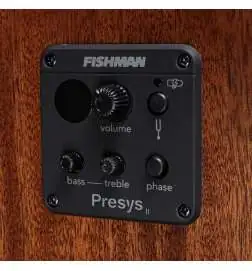 Sigma Guitars DMC-STE