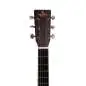 Sigma Guitars DM-15