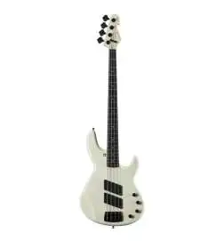 Sandberg Panther 4 EB Creme Highgloss