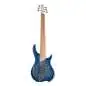 Dingwall Combustion 6 3PU PF Indigo Burst