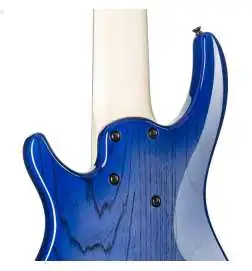 Dingwall Combustion 6 3PU PF Indigo Burst