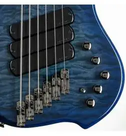 Dingwall Combustion 6 3PU PF Indigo Burst