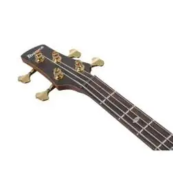 Ibanez Prestige SR5500-MHF Mocha Flat