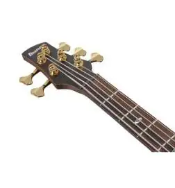 Ibanez Prestige SR3505-BK Black