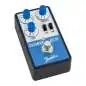 Fender Bassman Delay