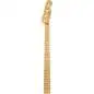 Fender 1951 Precision Bass Neck