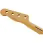 Fender 1951 Precision Bass Neck