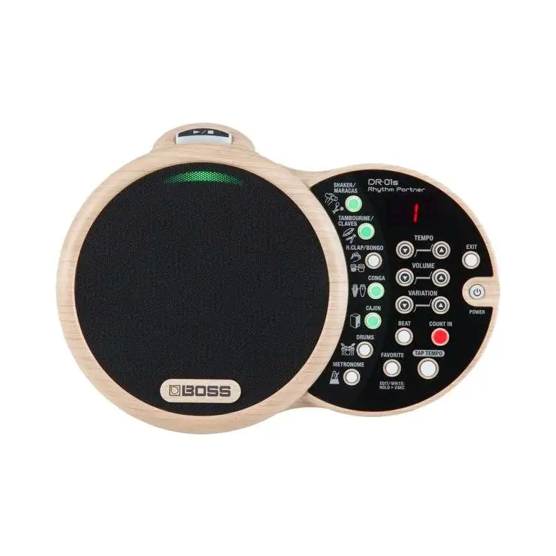 Boss DR-01S Rhythm Partner