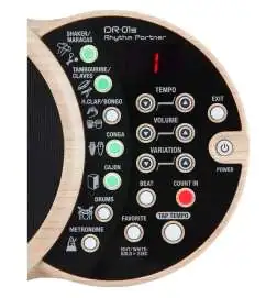 Boss DR-01S Rhythm Partner