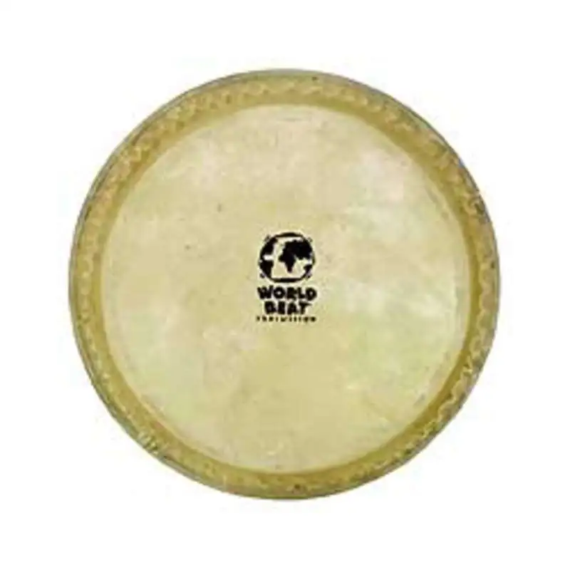 Latin Percussion Peau de bongo CP221A, 6", pour bongo CP