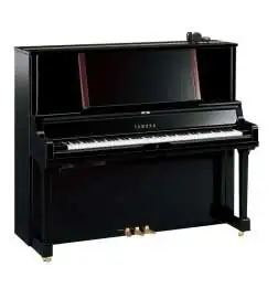 Yamaha YUS5 SH2 PE