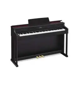 Casio AP-470 BK EOL