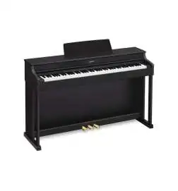 Casio AP-470 BK EOL