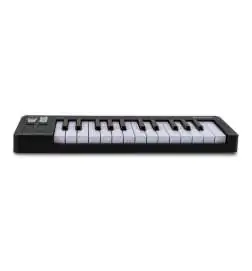 Arturia MicroLab Mk3 Black Midi Keyboard