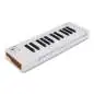 Arturia MicroLab Mk3 White clavier midi