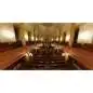 PROSPECTUM Silbermann Orgel ADV License Code