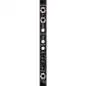 2hp Loop Black