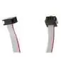 Erica Synths 6-pin Drum Module Cable 50cm