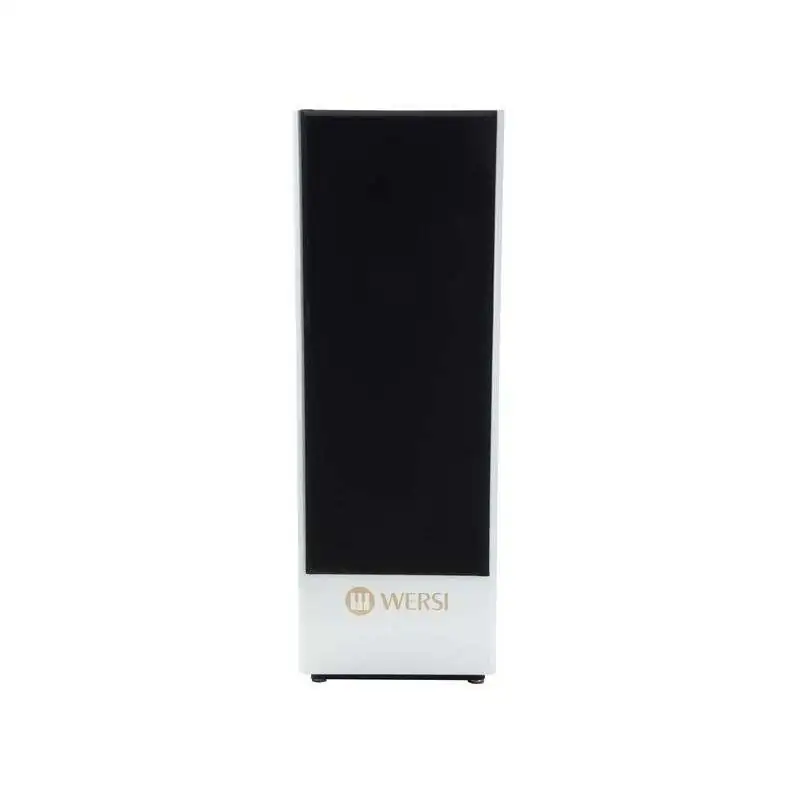 Wersi TS9000 Active loudspeaker