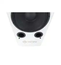 Wersi TS9000 Active loudspeaker