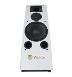 Wersi TS9000 Active loudspeaker