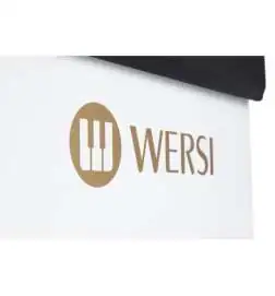 Wersi TS9000 Active loudspeaker