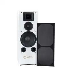 Wersi TS9000 Active loudspeaker